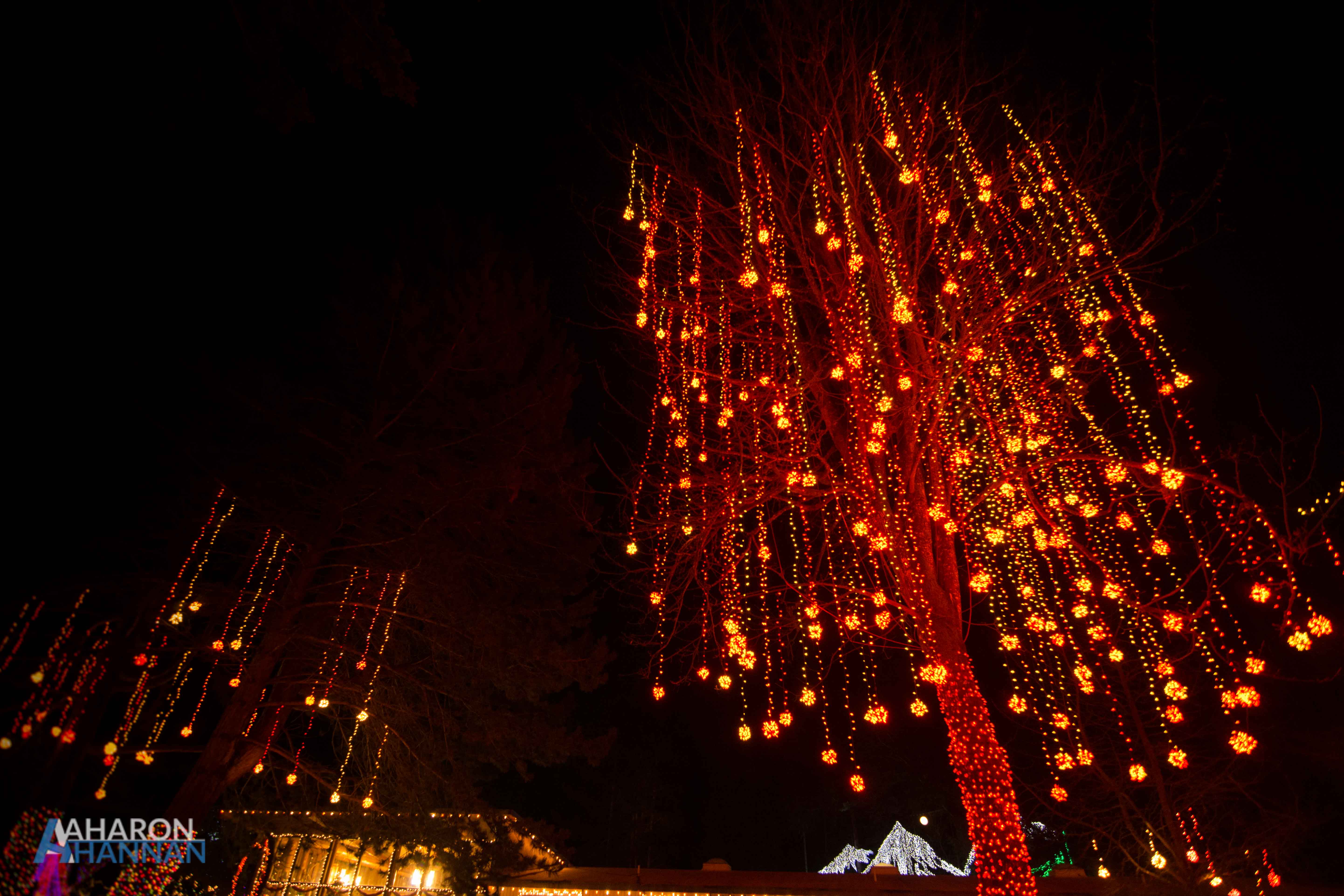 AHM-Lights-Of-Christmas-Festival-61.jpg